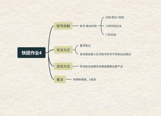 鹿-快团团作业4-流量情报局-嗨推旗下流量情报局
