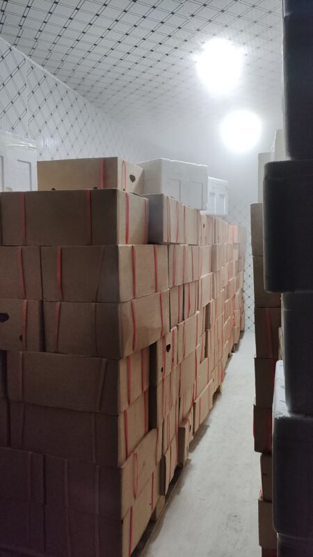 哈蒙 作业13（附加水果供应链）-流量情报局-嗨推旗下流量情报局