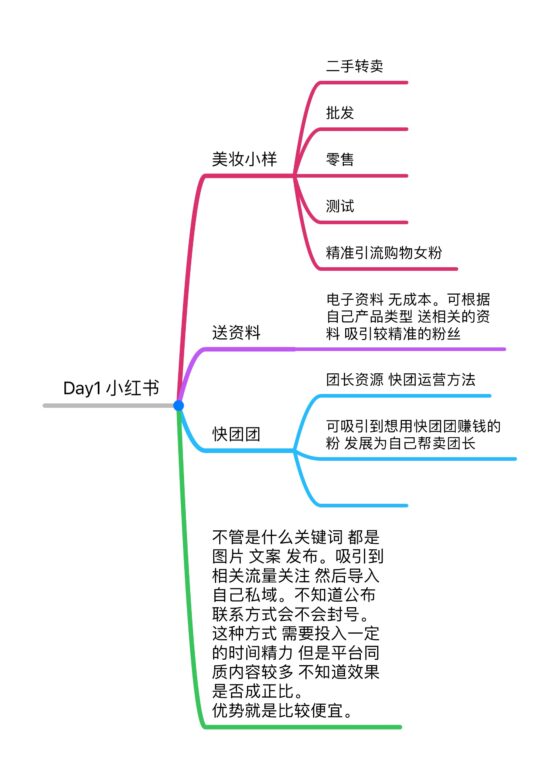 胡文婷 快团团打卡第一天-流量情报局-嗨推旗下流量情报局