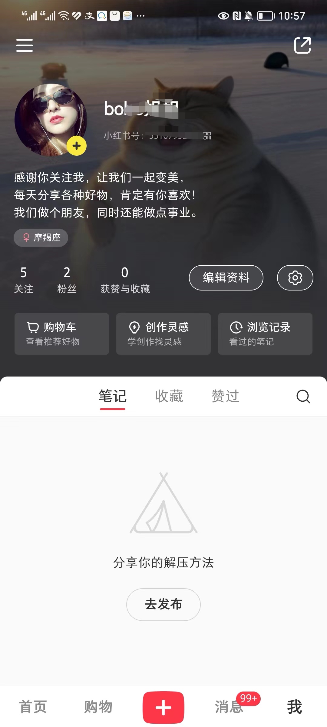 洪图+小红书打卡第二天-流量情报局-嗨推旗下流量情报局