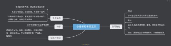 海韵小红书打卡第5天-流量情报局-嗨推旗下流量情报局