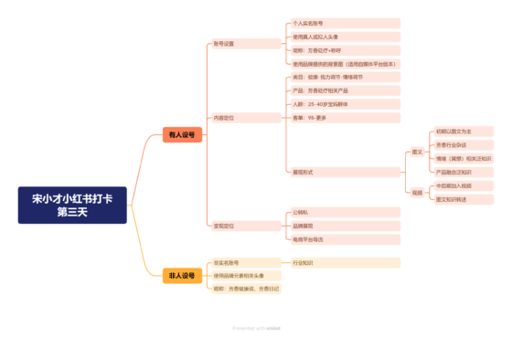 宋小才小红书打卡第三天-流量情报局-嗨推旗下流量情报局