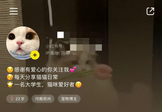 王喜南+小红书作业第二天-流量情报局-嗨推旗下流量情报局