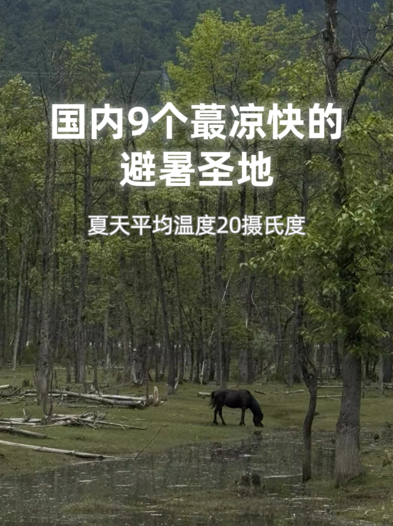 20240628110119962-QQ图片20240628110020