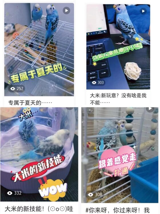 半湖秋水 6.27第四次小红书训练营打卡-流量情报局-嗨推旗下流量情报局