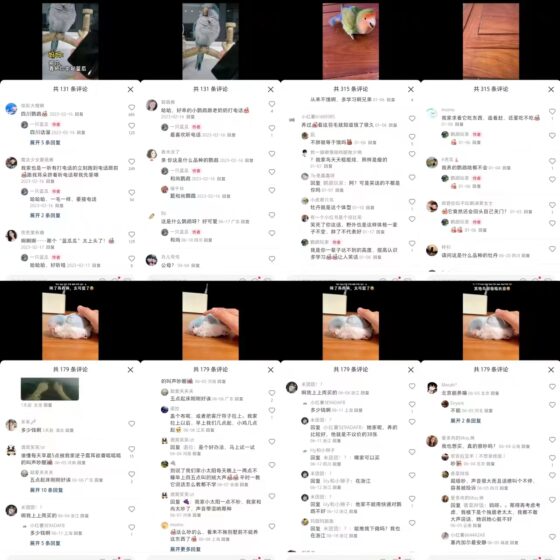 半湖秋水 6.27第四次小红书训练营打卡-流量情报局-嗨推旗下流量情报局