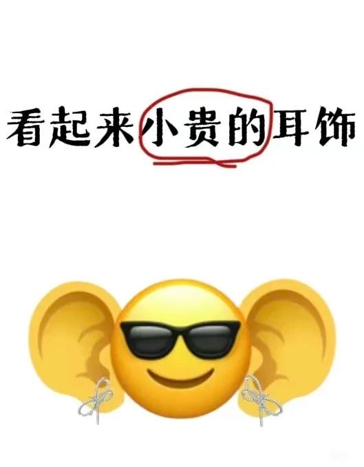 20240829162445861-交出你们看起来就很贵的耳饰！